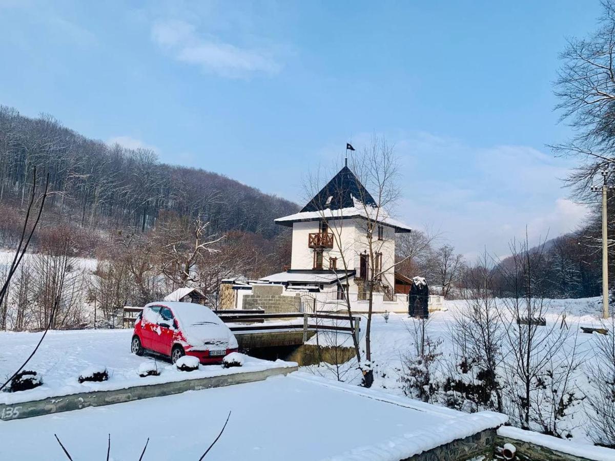 Chalet Vedmezhe Polyana  Exterior foto