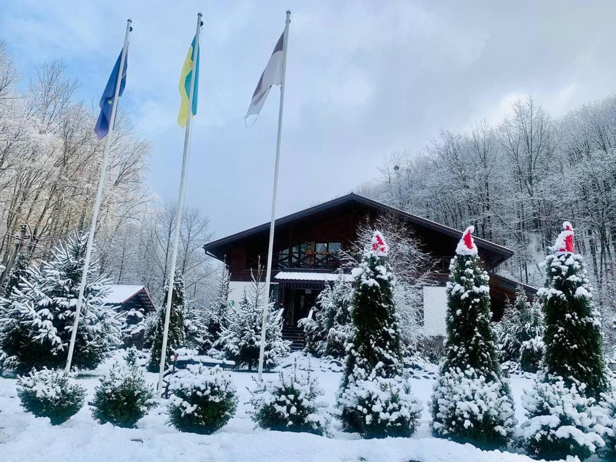 Chalet Vedmezhe Polyana  Exterior foto