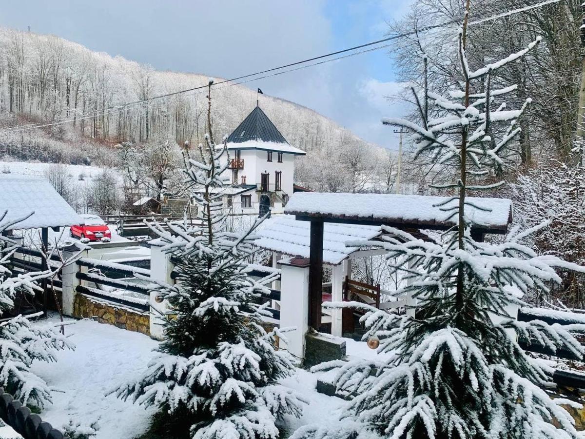 Chalet Vedmezhe Polyana  Exterior foto