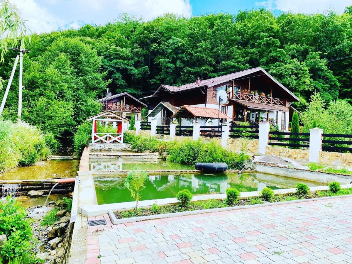 Chalet Vedmezhe Polyana  Exterior foto