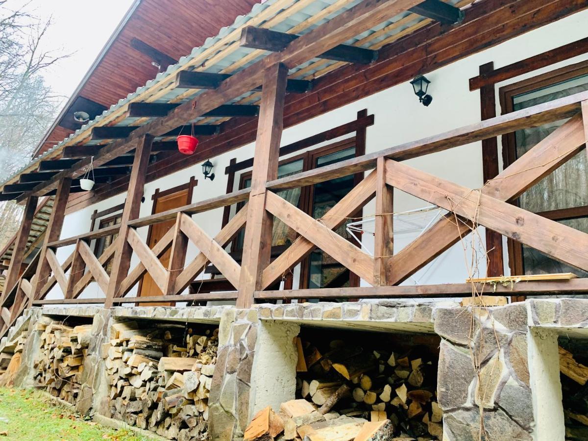 Chalet Vedmezhe Polyana  Exterior foto